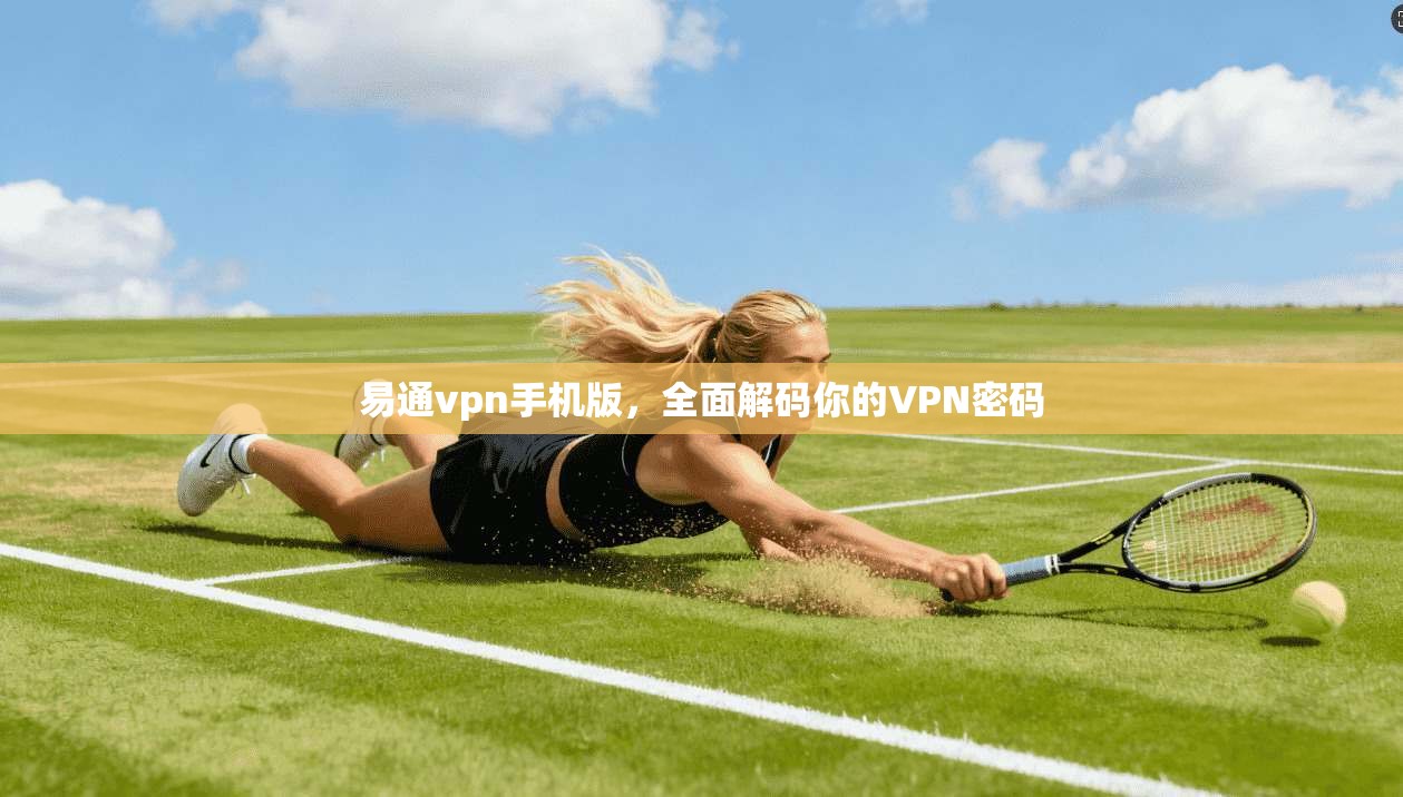 易通vpn手机版，全面解码你的VPN密码