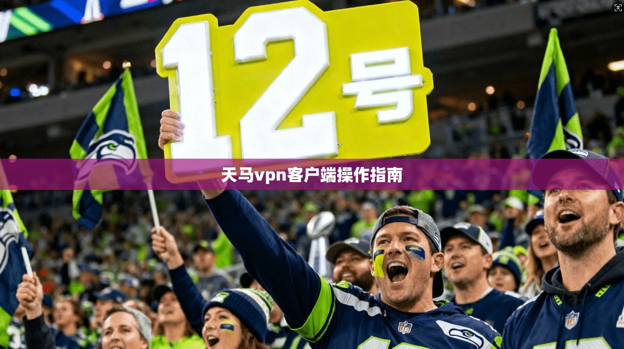 天马vpn客户端操作指南  第1张