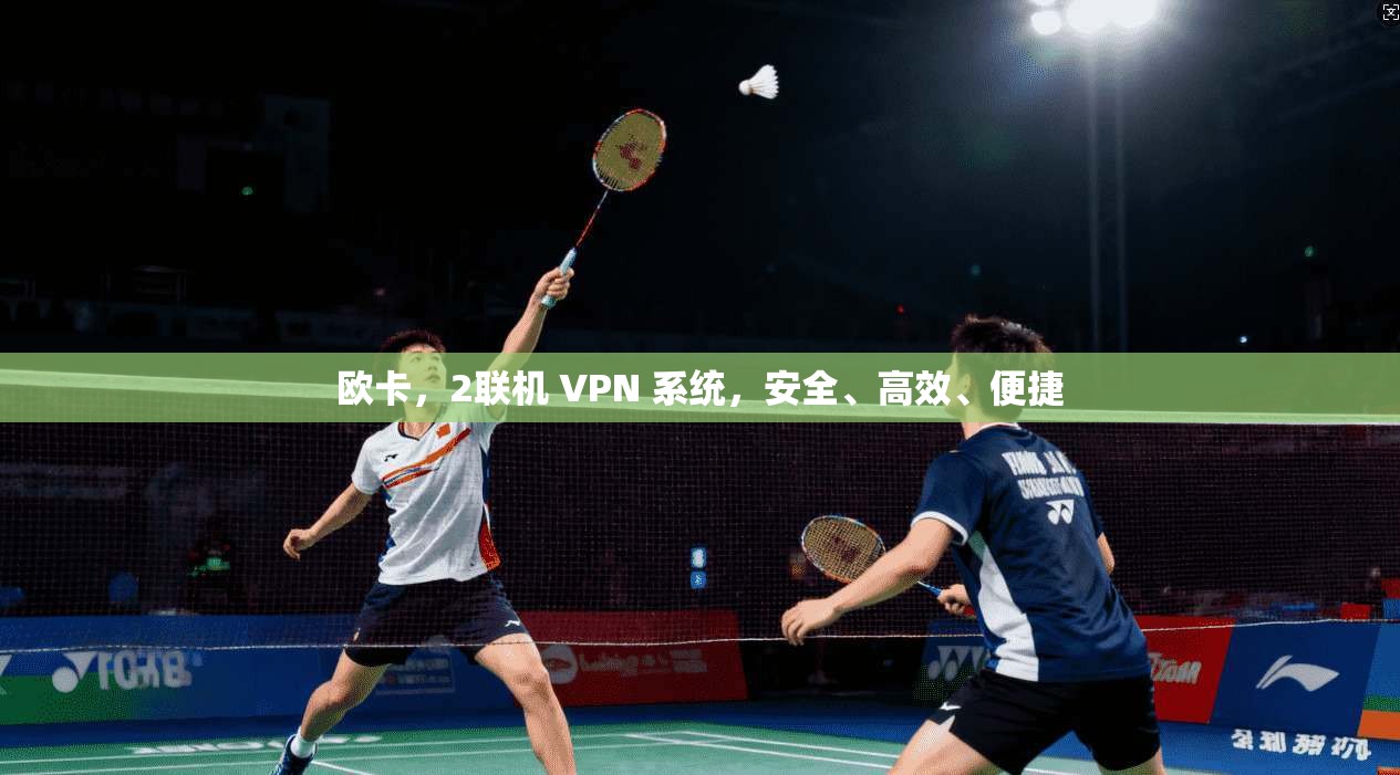 欧卡，2联机 VPN 系统，安全、高效、便捷  第1张