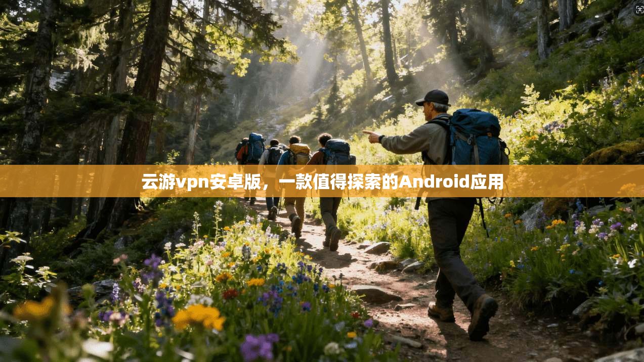 云游vpn安卓版，一款值得探索的Android应用