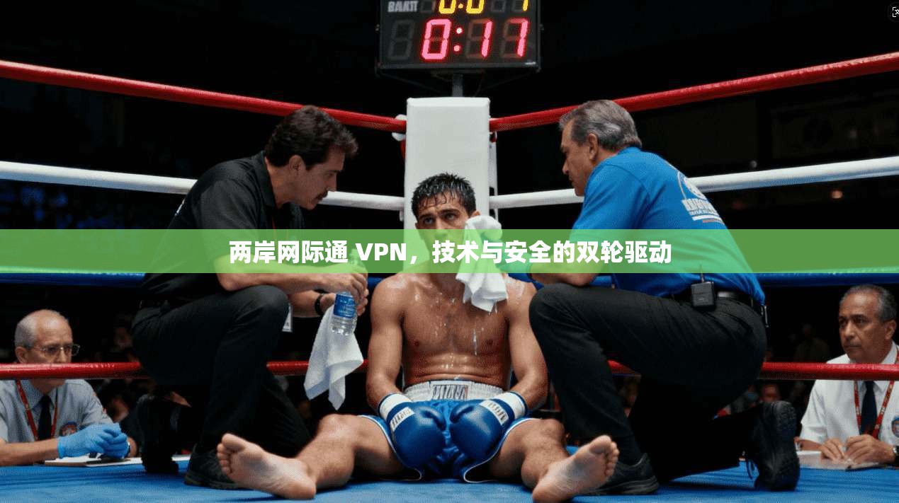 两岸网际通 VPN，技术与安全的双轮驱动  第1张