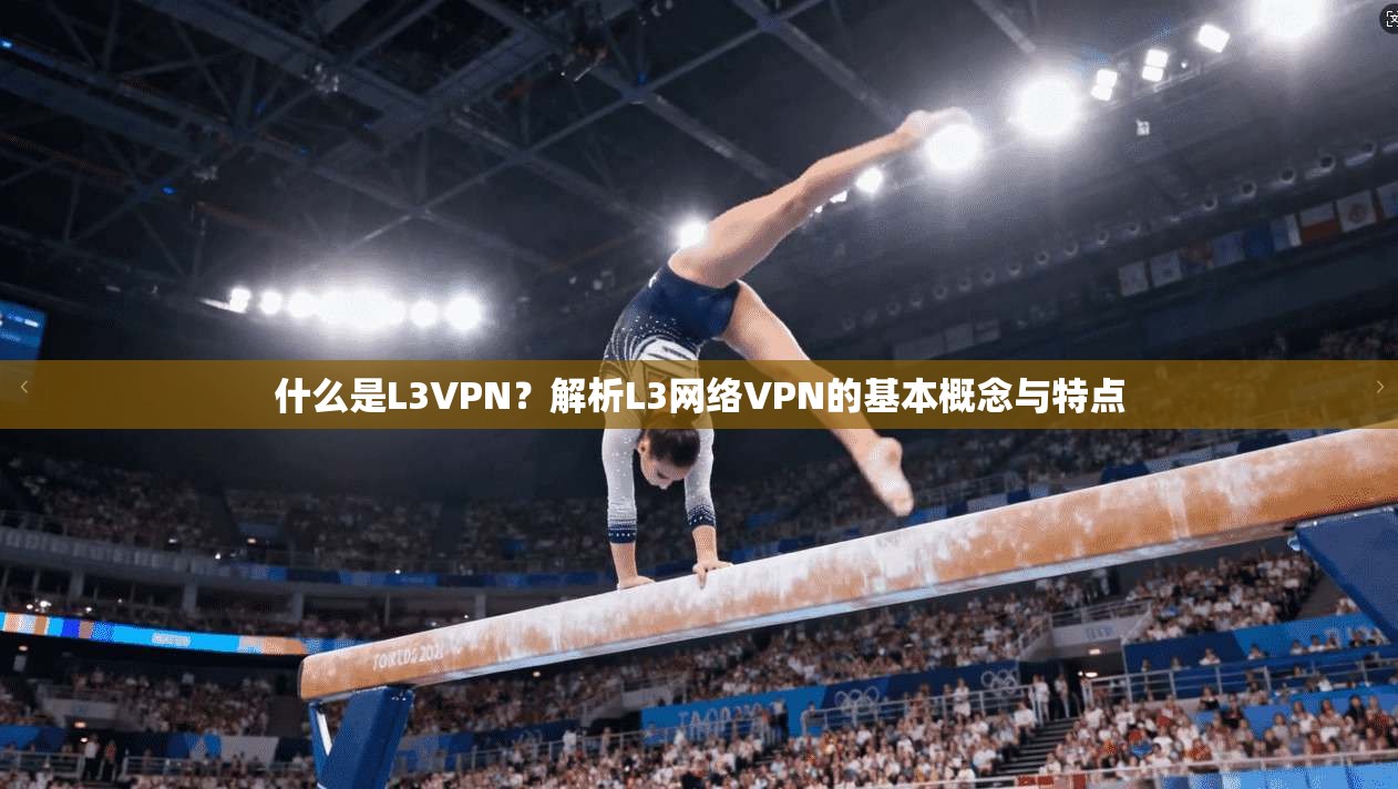 什么是L3VPN?解析L3网络VPN的基本概念与特点