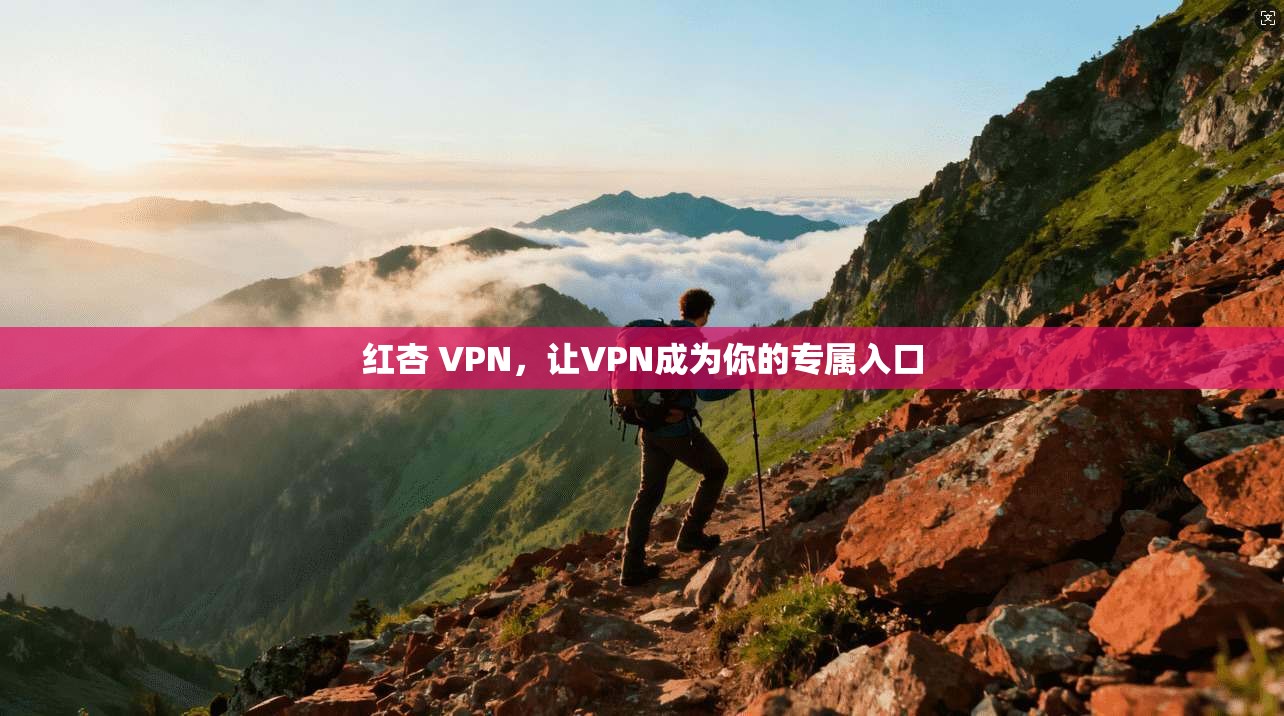 红杏 VPN,让VPN成为你的专属入口
