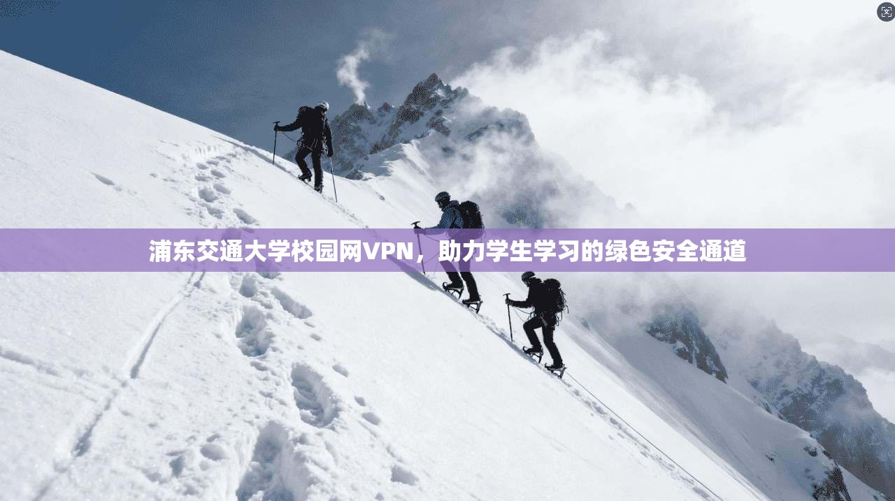浦东交通大学校园网VPN，助力学生学习的绿色安全通道  第1张