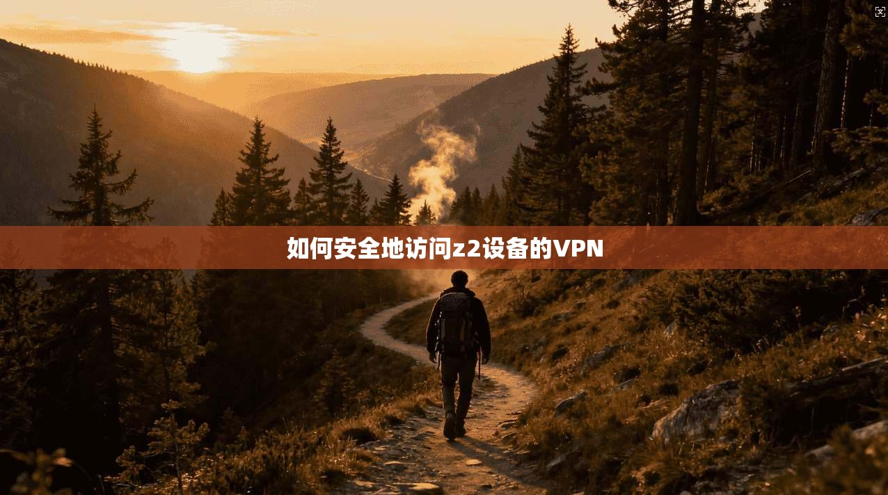 如何安全地访问z2设备的VPN