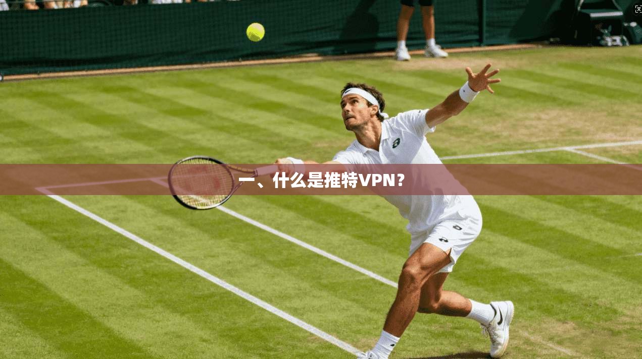 一、什么是推特VPN？