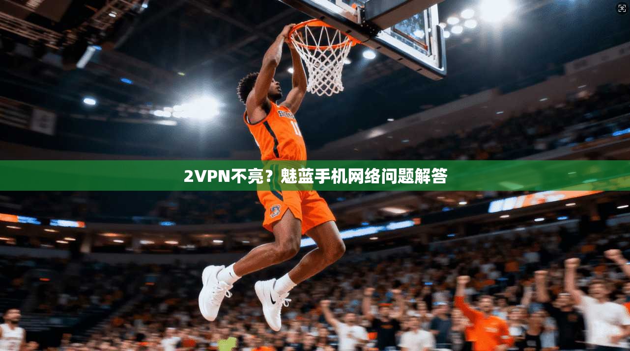 2VPN不亮？魅蓝手机网络问题解答