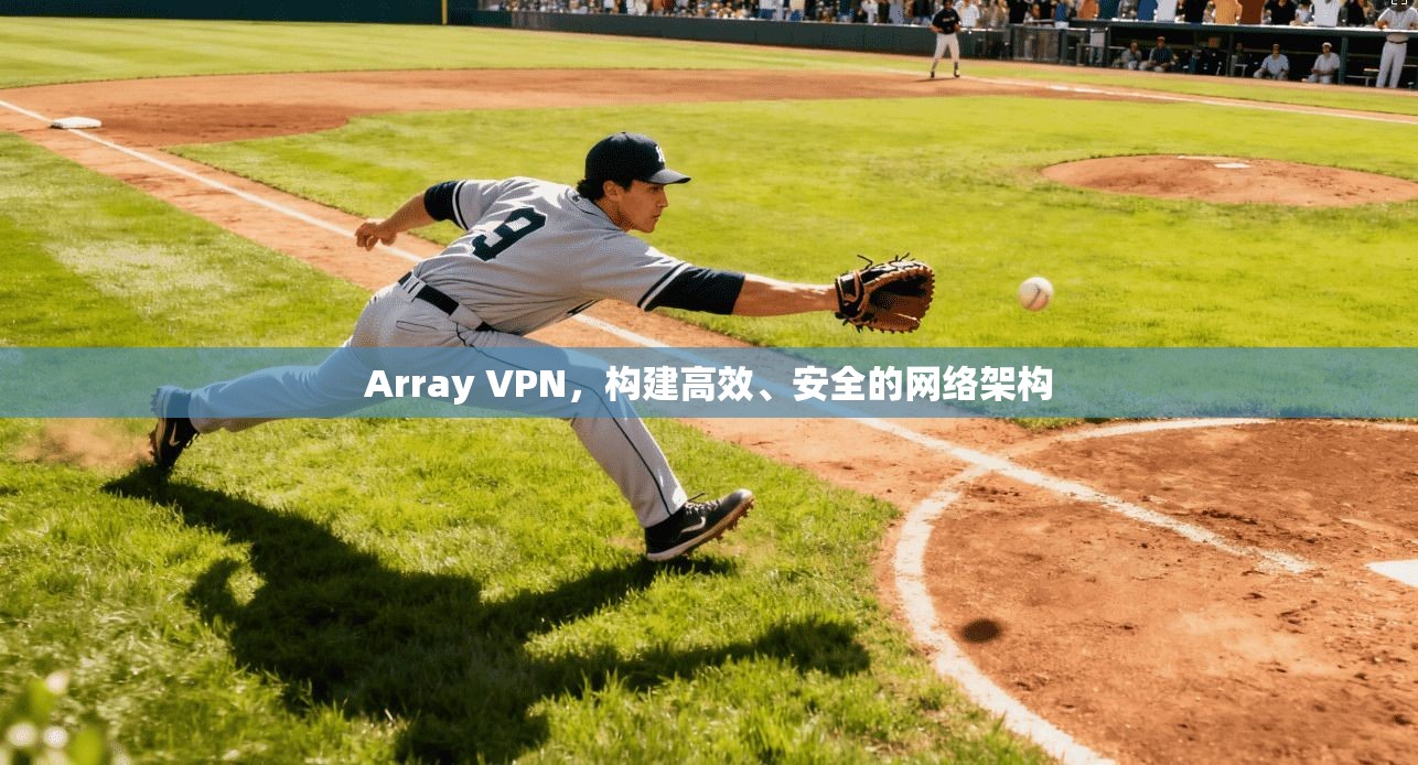 Array VPN，构建高效、安全的网络架构