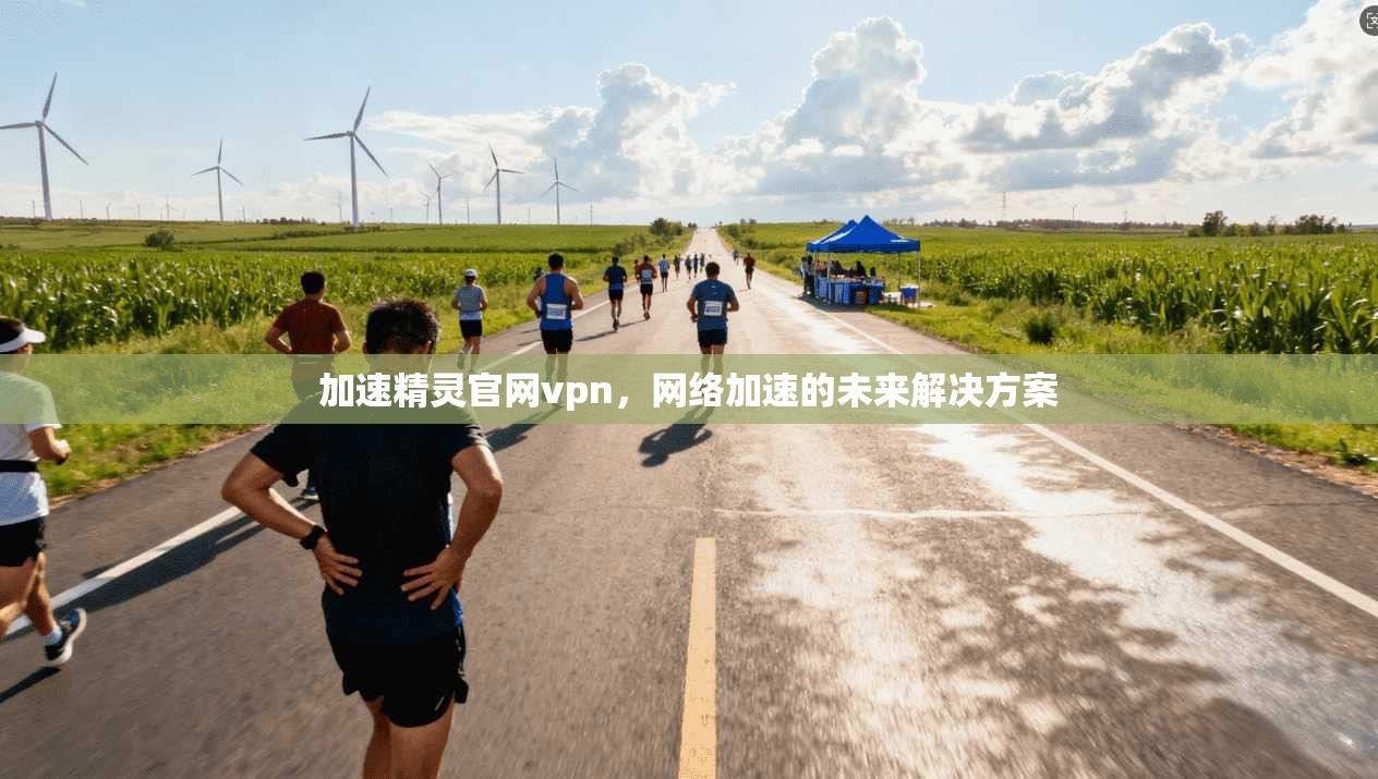 加速精灵官网vpn，网络加速的未来解决方案  第1张