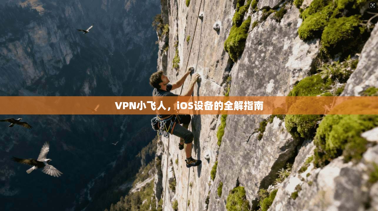 VPN小飞人,iOS设备的全解指南