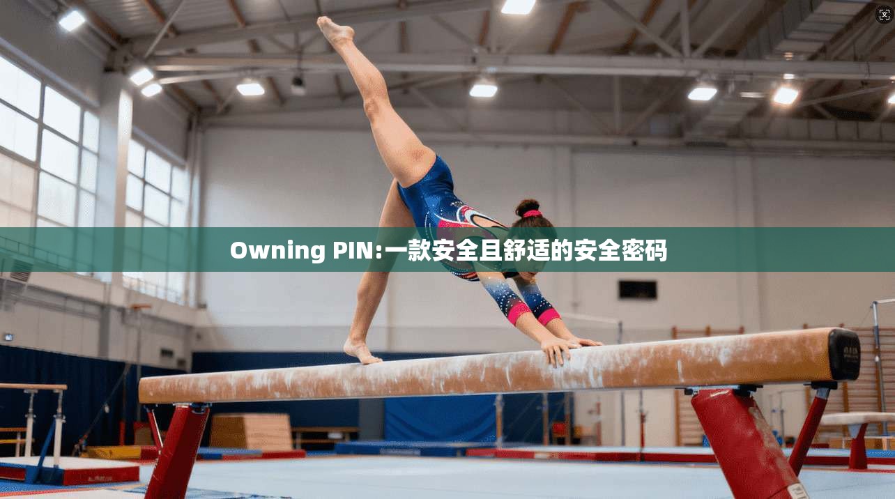 Owning PIN:一款安全且舒适的安全密码