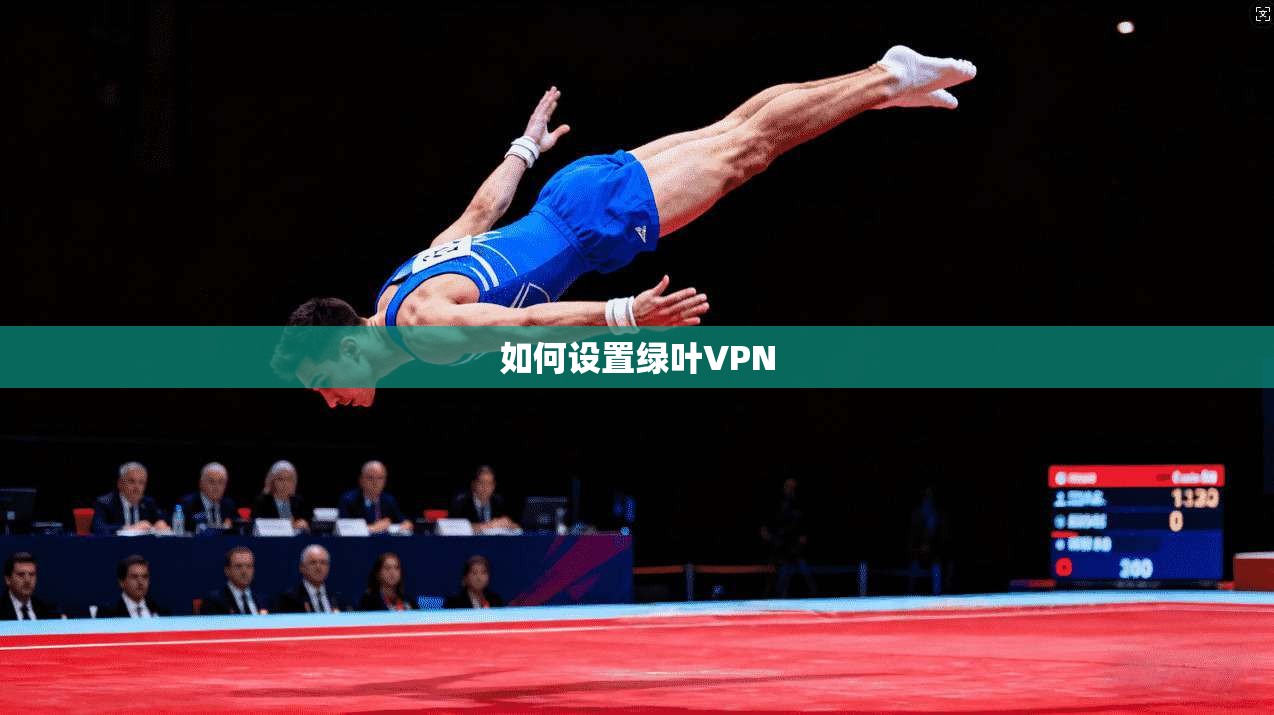 如何设置绿叶VPN