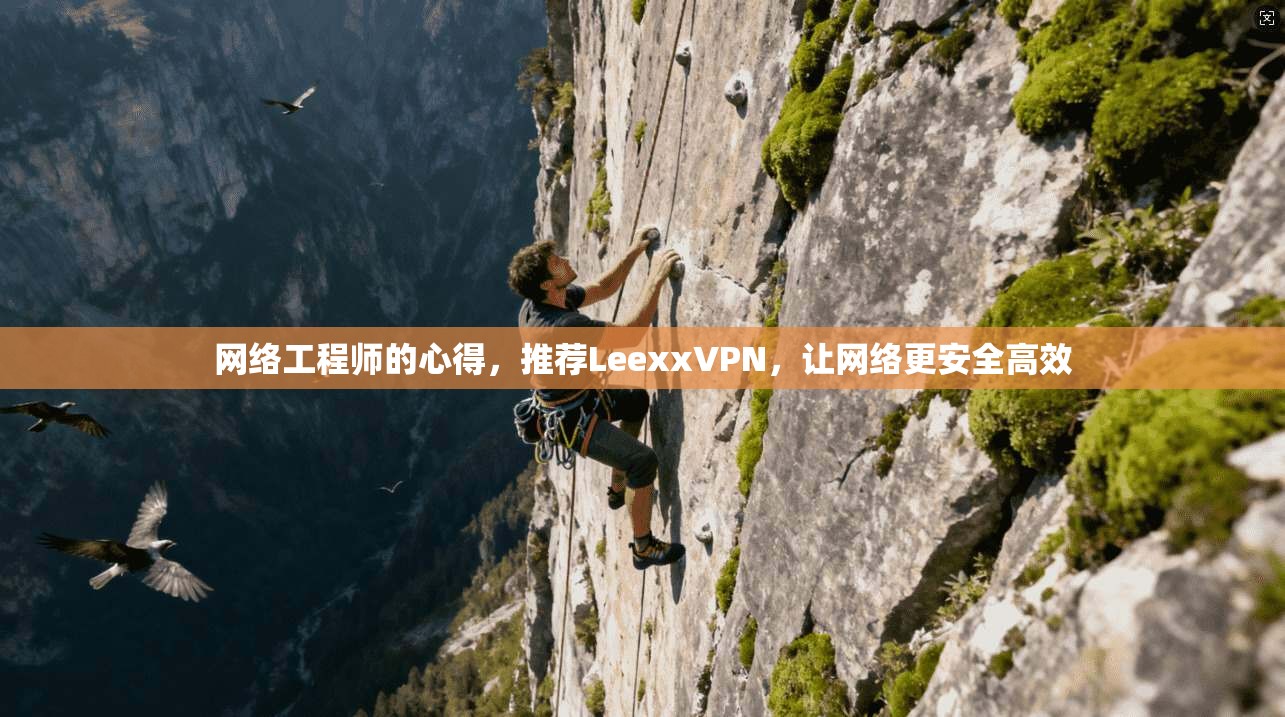 网络工程师的心得，推荐LeexxVPN，让网络更安全高效
