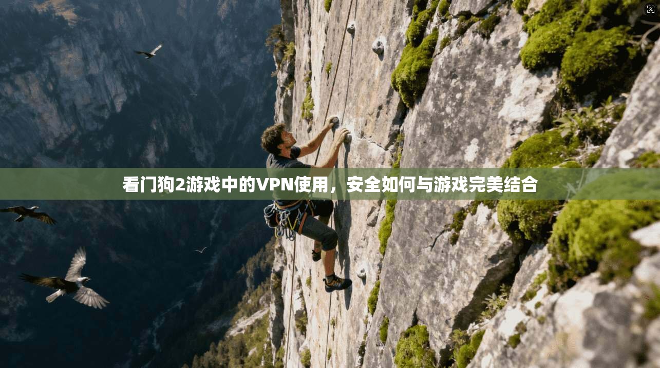 看门狗2游戏中的VPN使用，安全如何与游戏完美结合  第1张