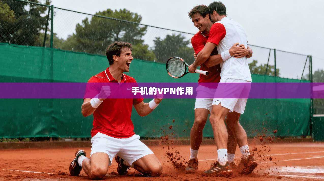 手机的VPN作用