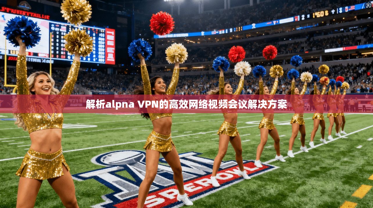 解析alpna VPN的高效网络视频会议解决方案