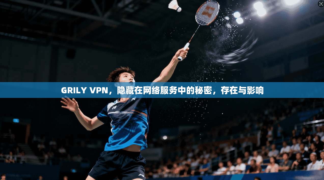 GRILY VPN，隐藏在网络服务中的秘密，存在与影响