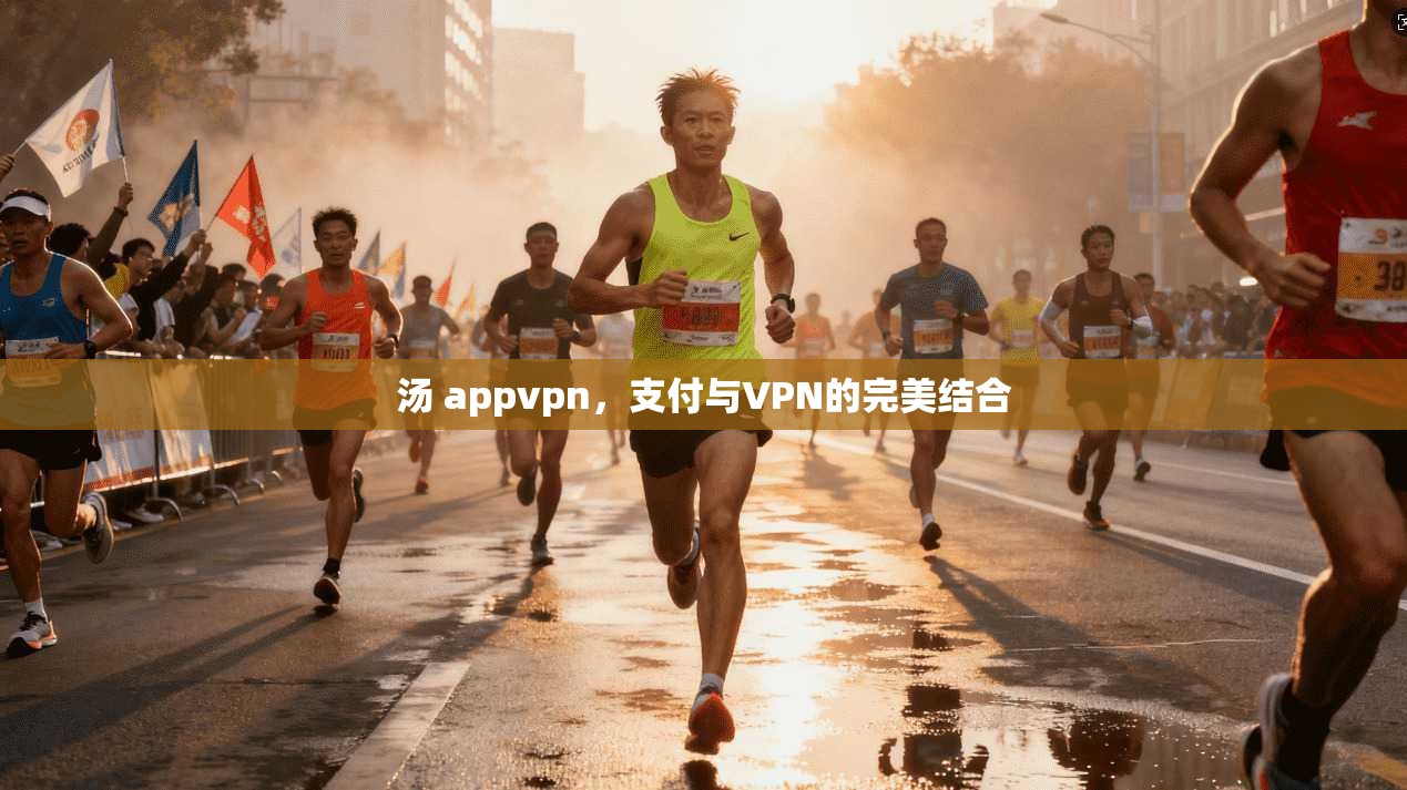 汤 appvpn，支付与VPN的完美结合  第1张