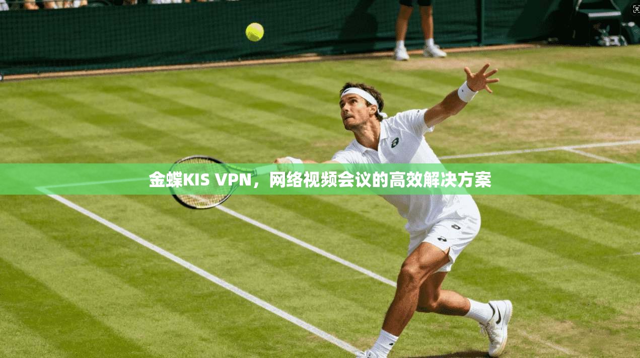 金蝶KIS VPN，网络视频会议的高效解决方案