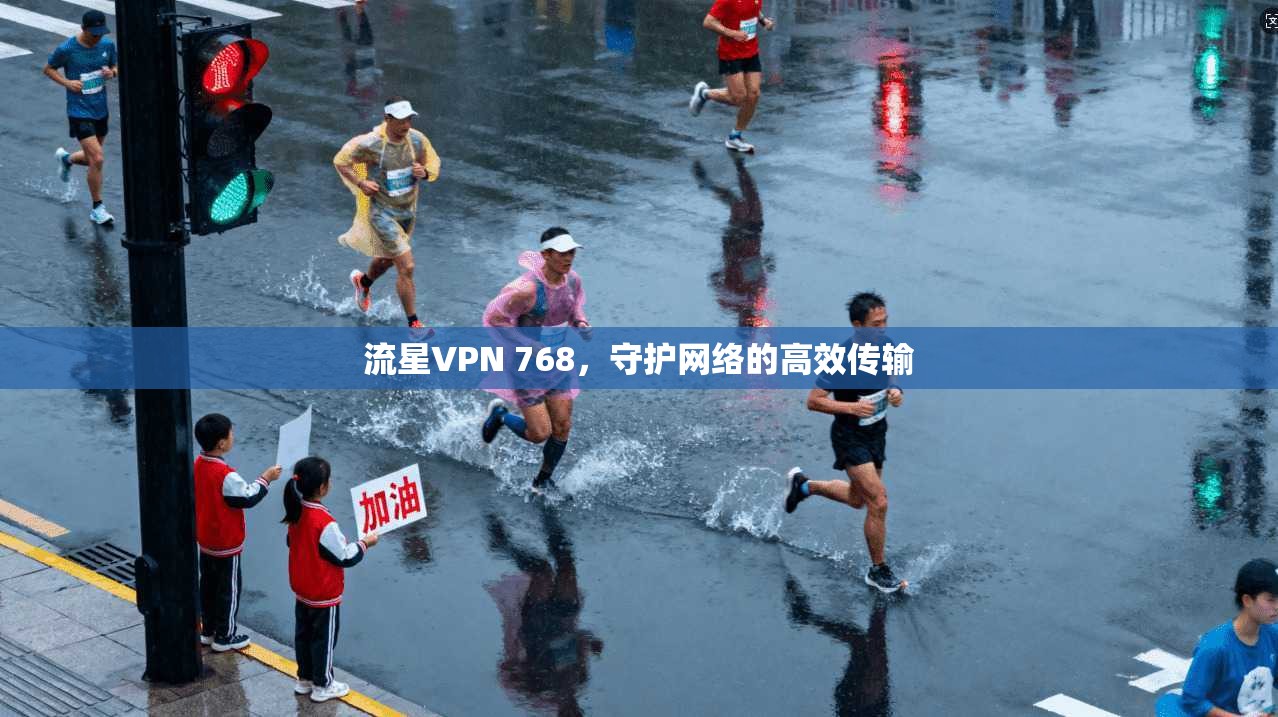流星VPN 768，守护网络的高效传输