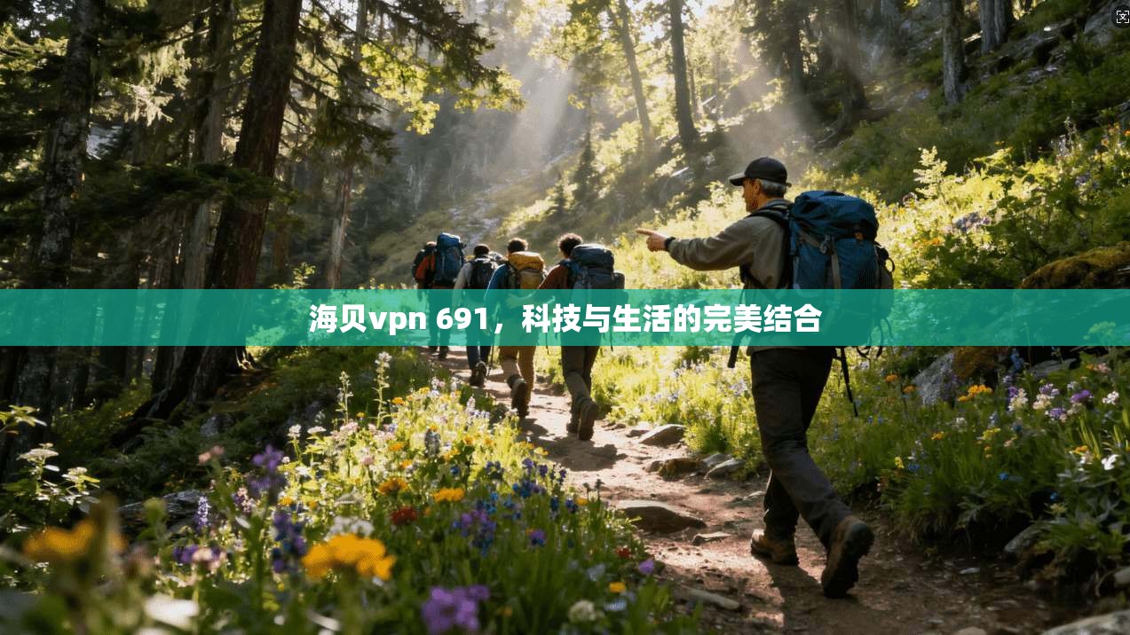 海贝vpn 691，科技与生活的完美结合