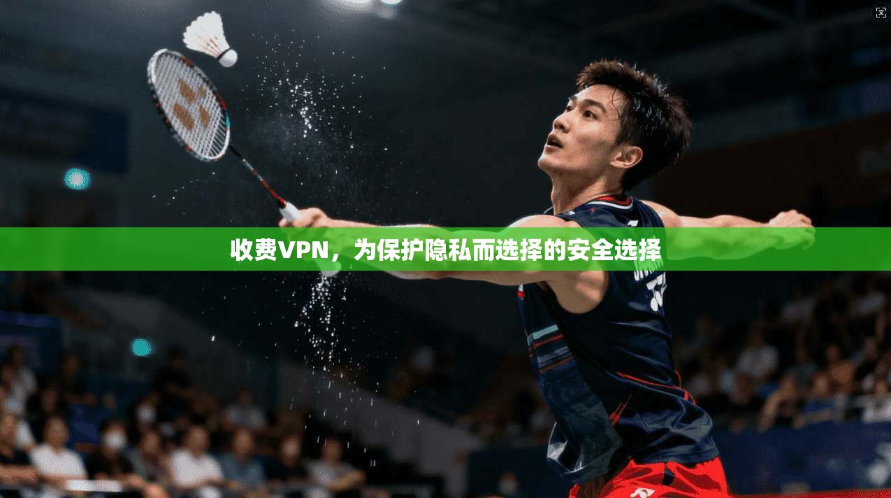 收费VPN，为保护隐私而选择的安全选择