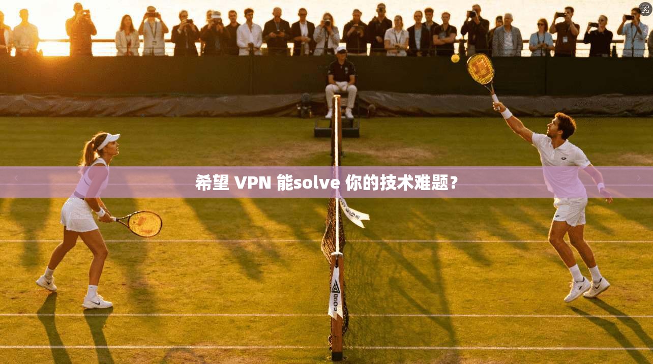 希望 VPN 能solve 你的技术难题？