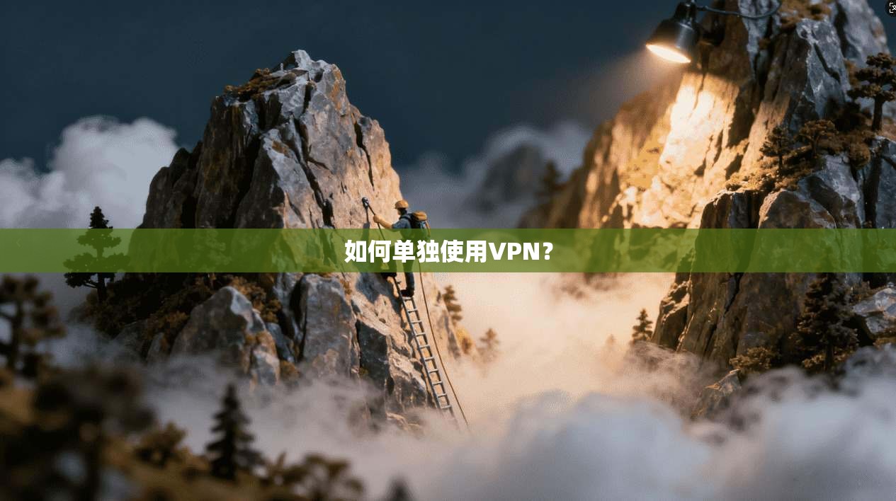 如何单独使用VPN？