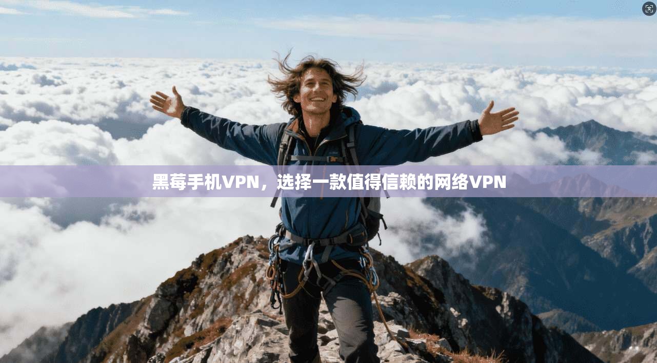 黑莓手机VPN，选择一款值得信赖的网络VPN