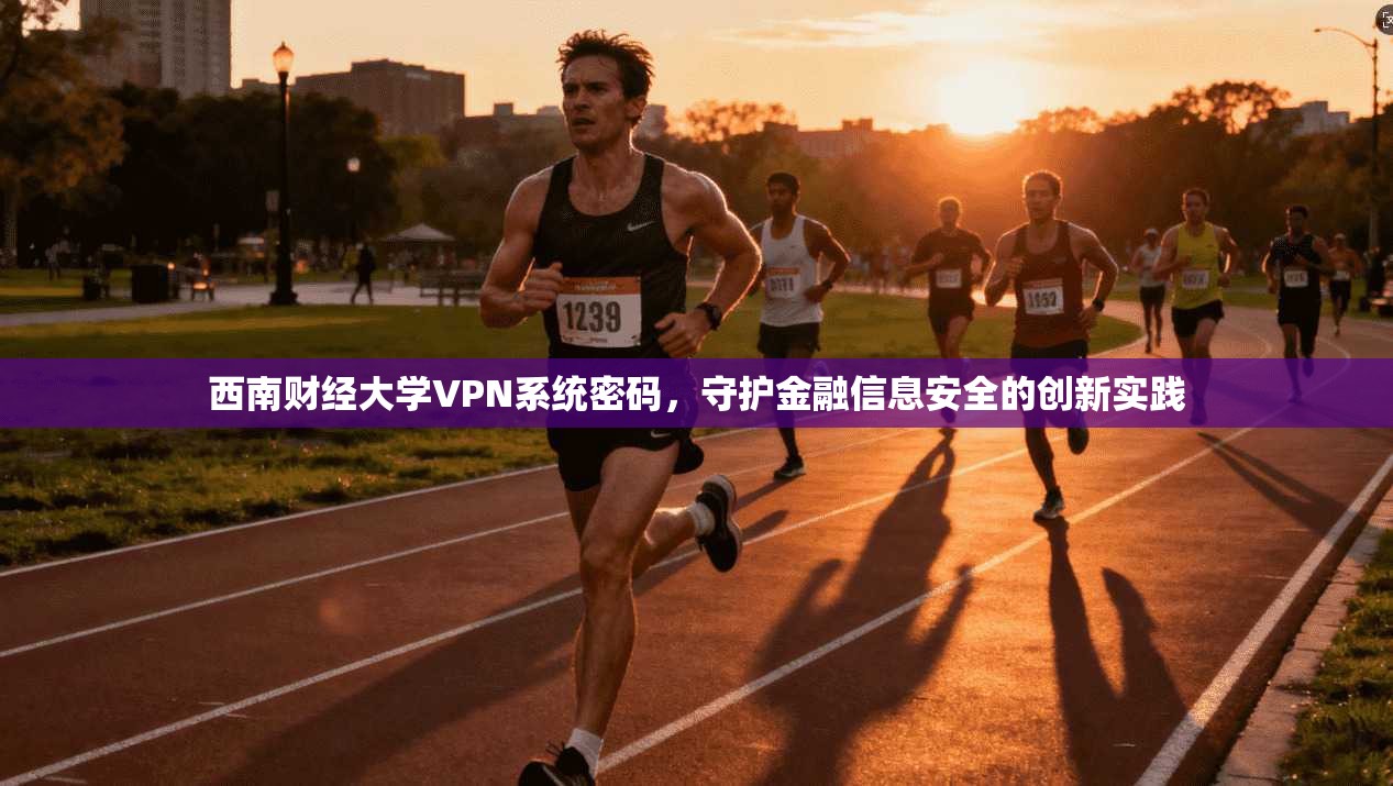 西南财经大学VPN系统密码，守护金融信息安全的创新实践