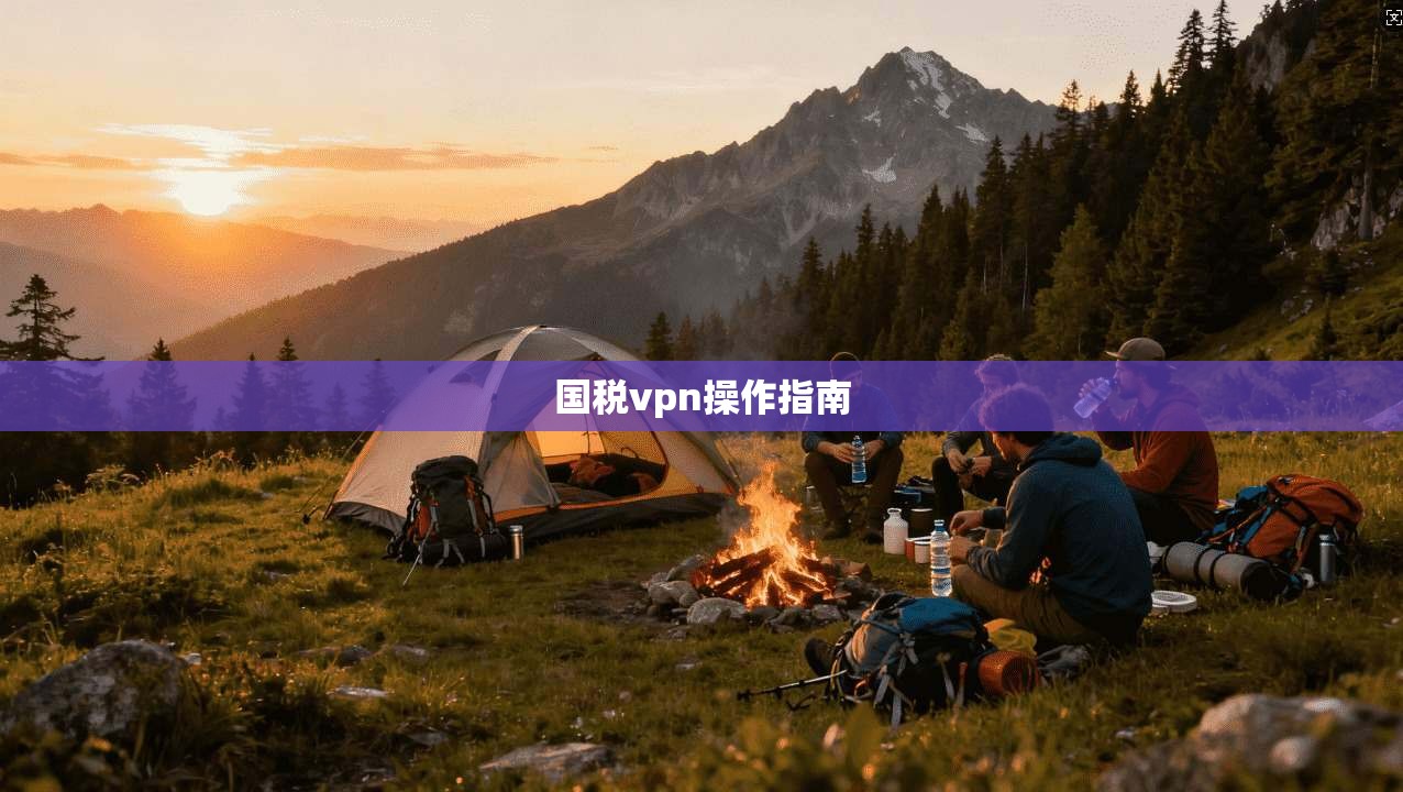 国税vpn操作指南