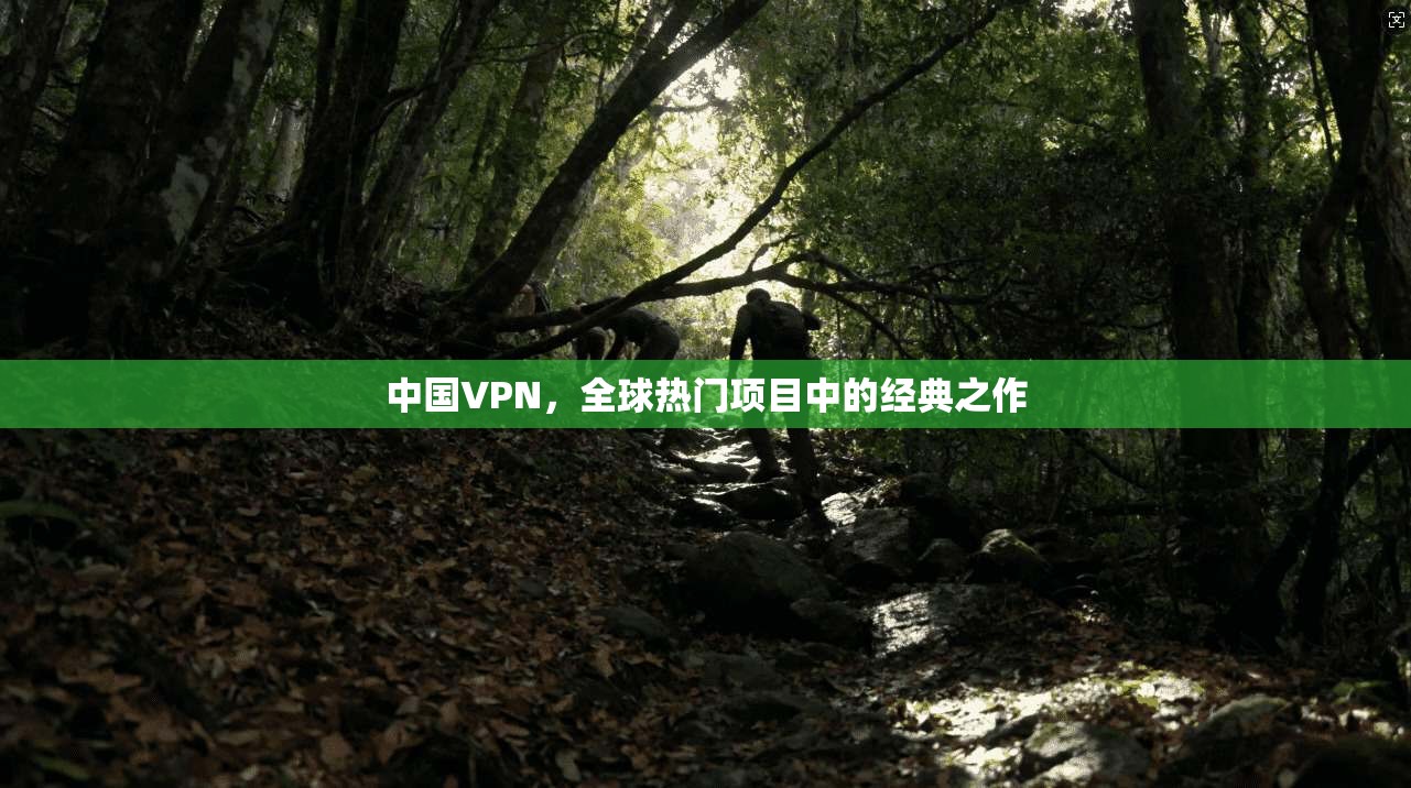 中国VPN，全球热门项目中的经典之作