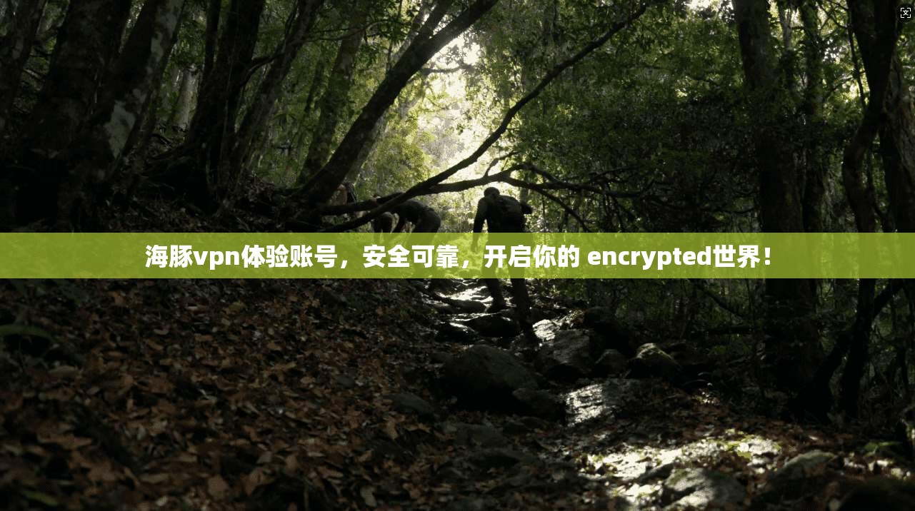 海豚vpn体验账号，安全可靠，开启你的 encrypted世界！