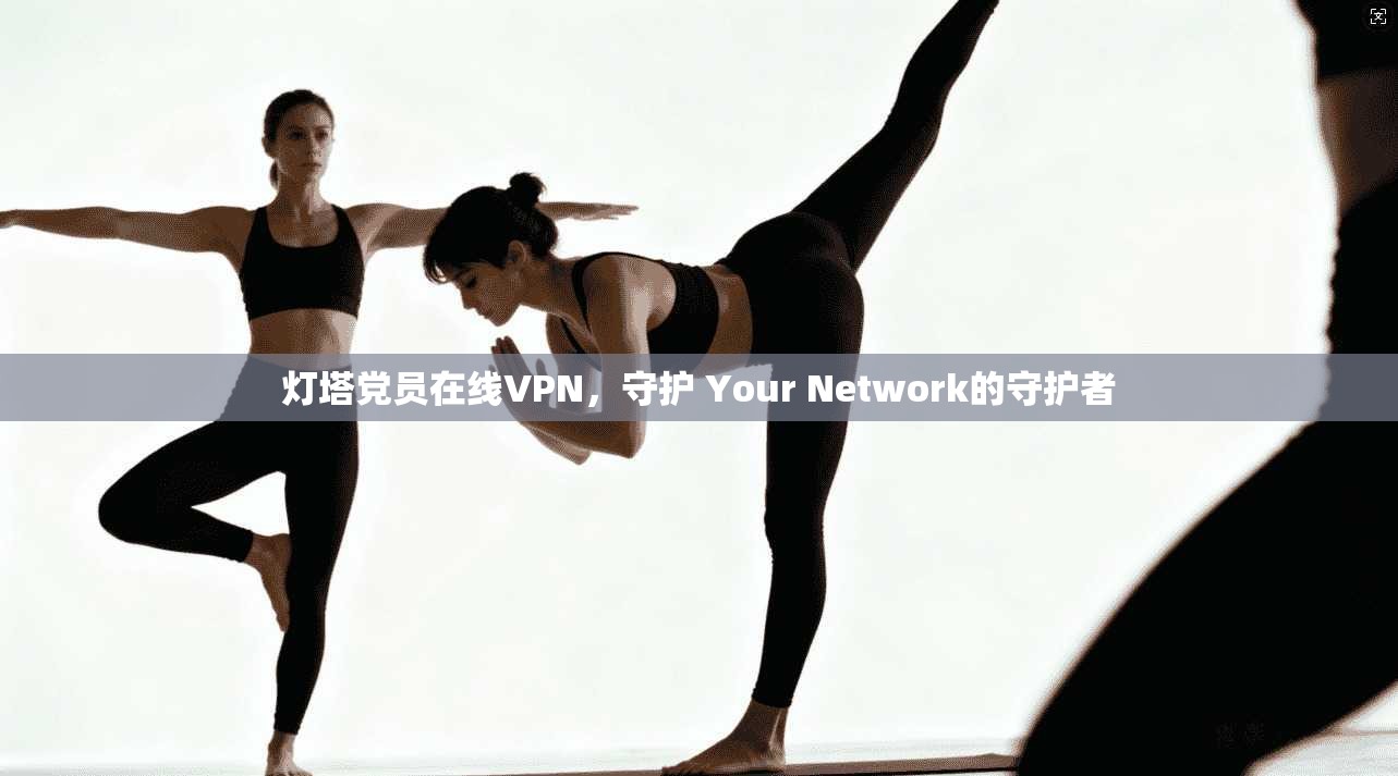 灯塔党员在线VPN，守护 Your Network的守护者