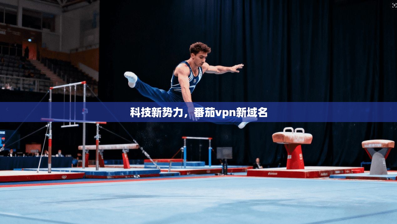 科技新势力，番茄vpn新域名