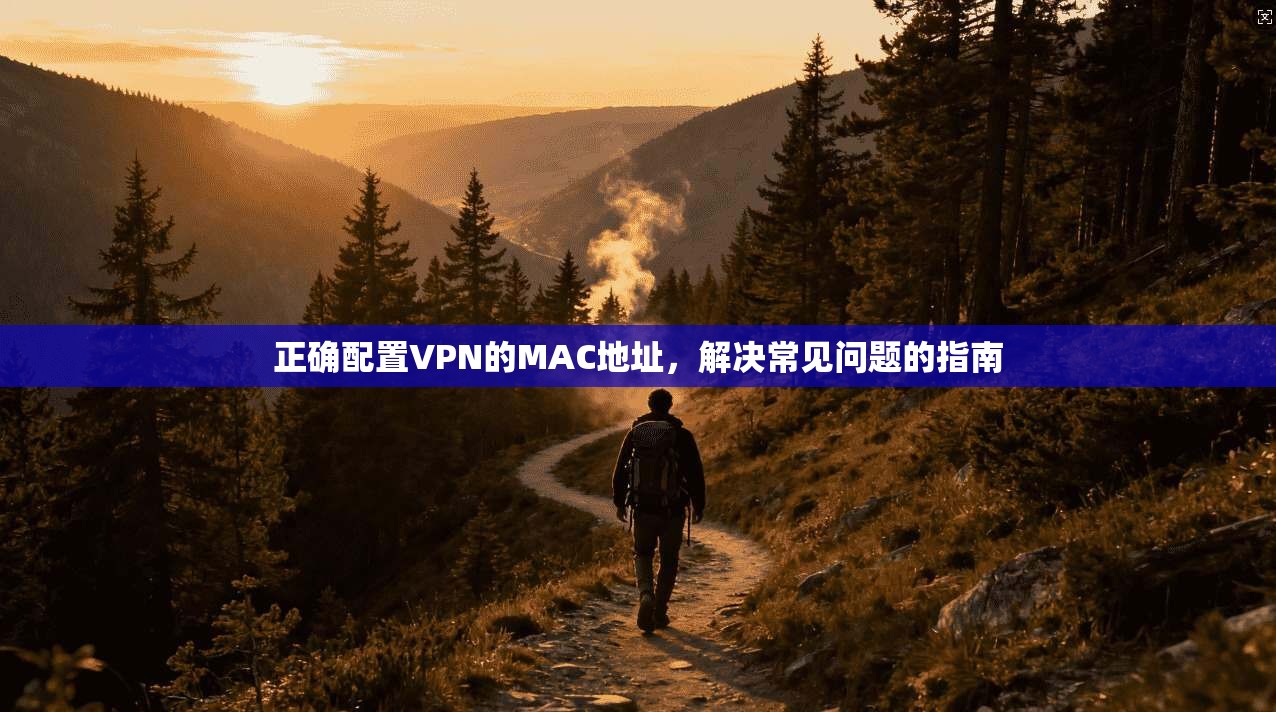 正确配置VPN的MAC地址，解决常见问题的指南