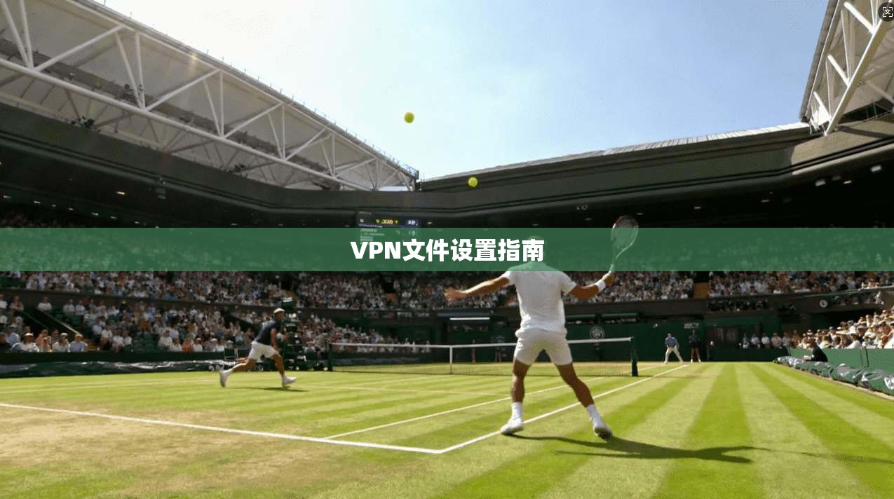 VPN文件设置指南