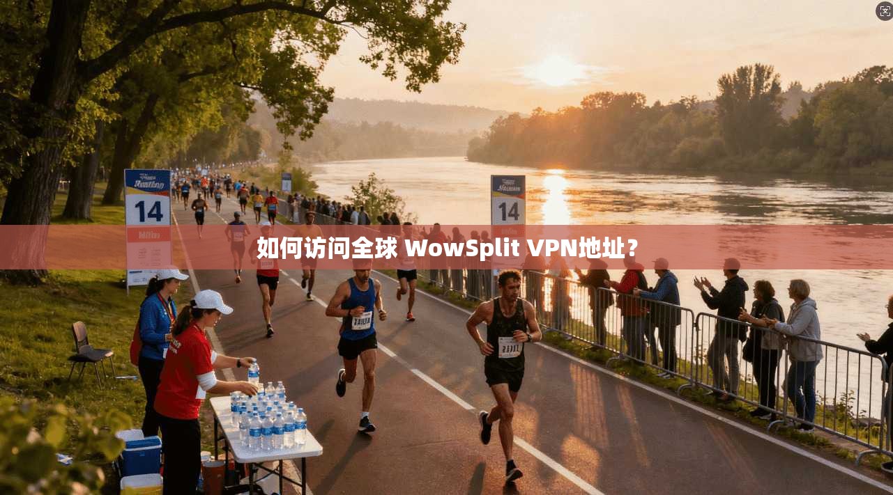 如何访问全球 WowSplit VPN地址？