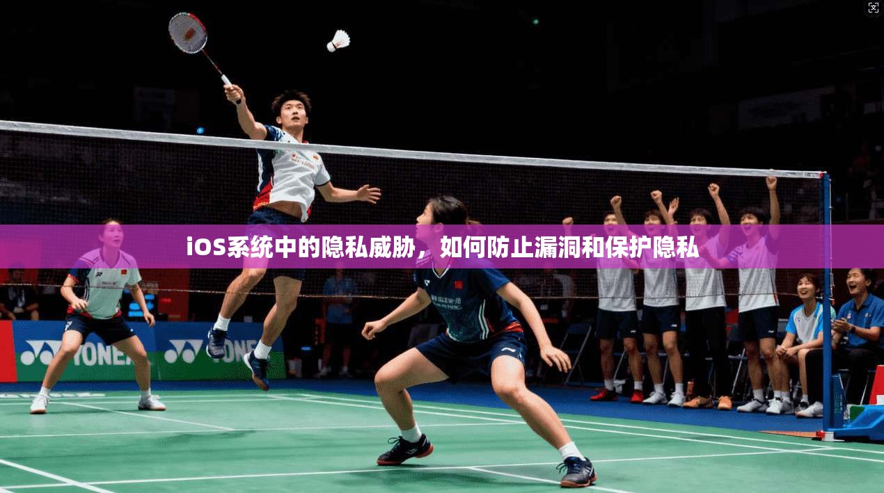 iOS系统中的隐私威胁，如何防止漏洞和保护隐私