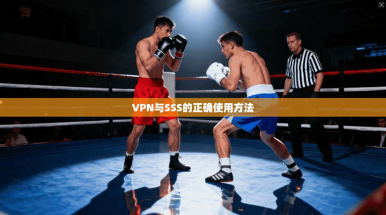 VPN与SSS的正确使用方法