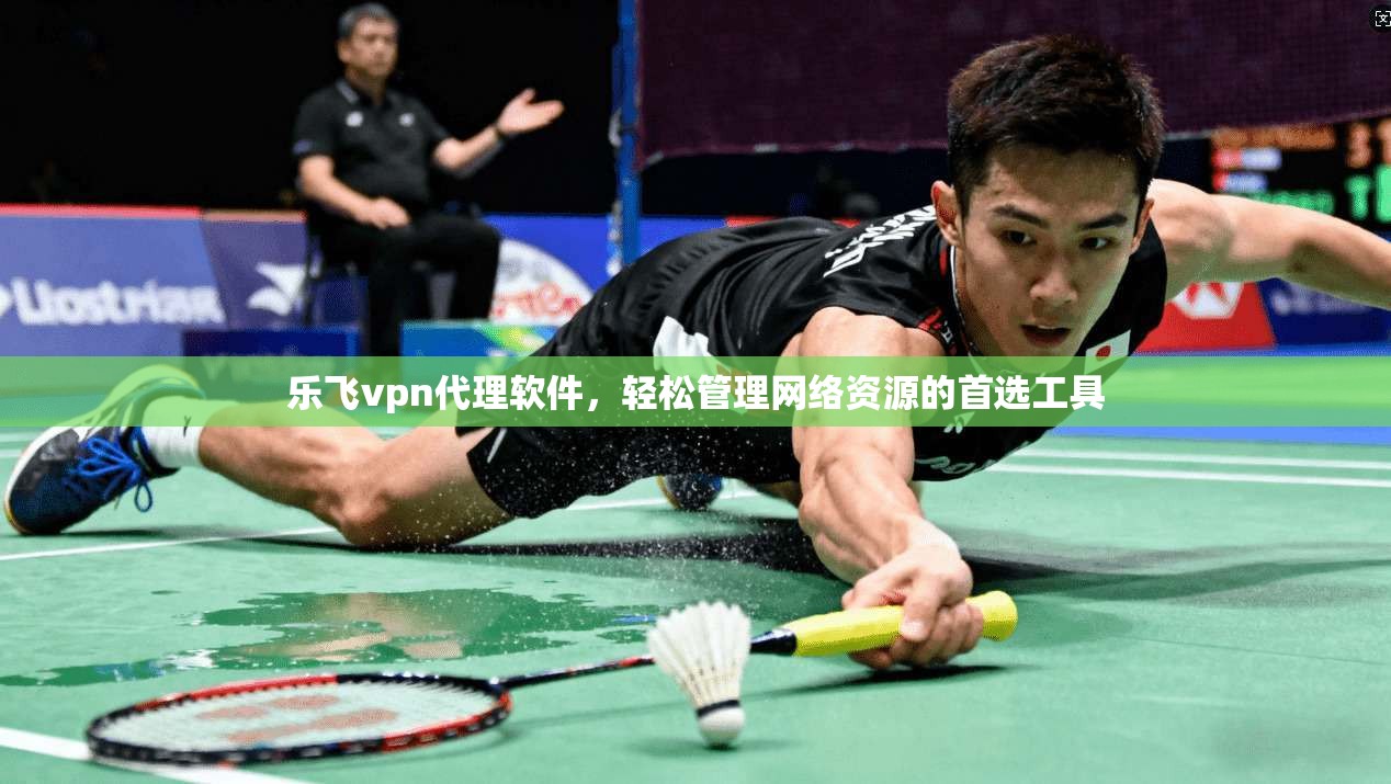 乐飞vpn代理软件，轻松管理网络资源的首选工具