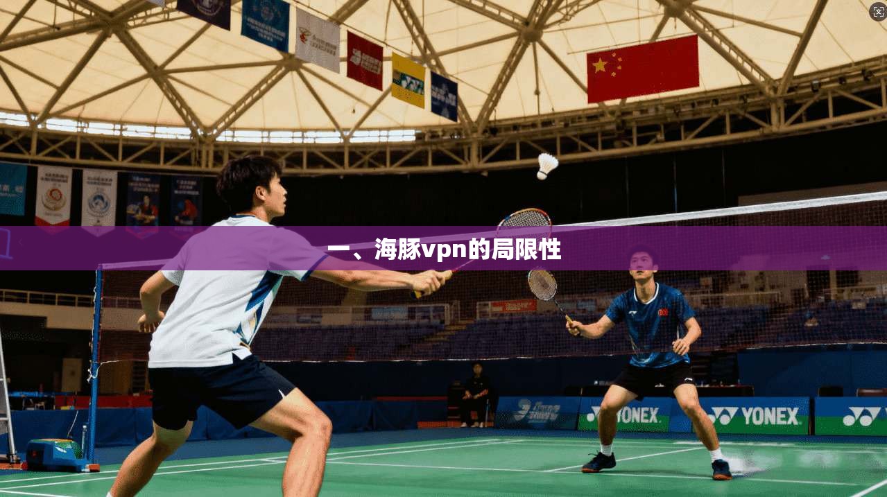 一、海豚vpn的局限性