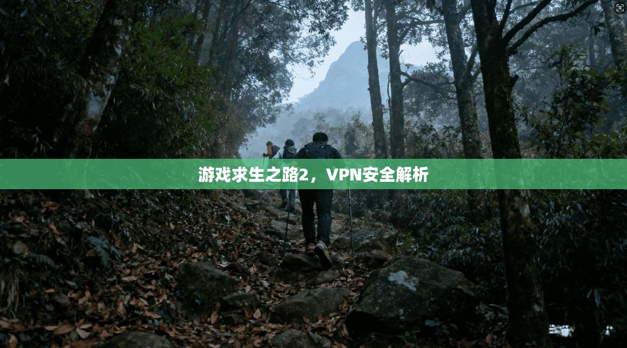 游戏求生之路2，VPN安全解析