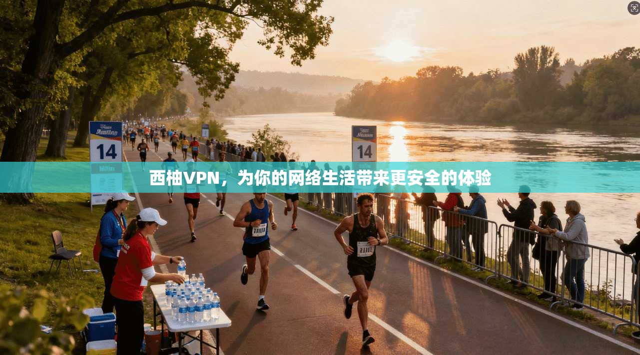 西柚VPN，为你的网络生活带来更安全的体验