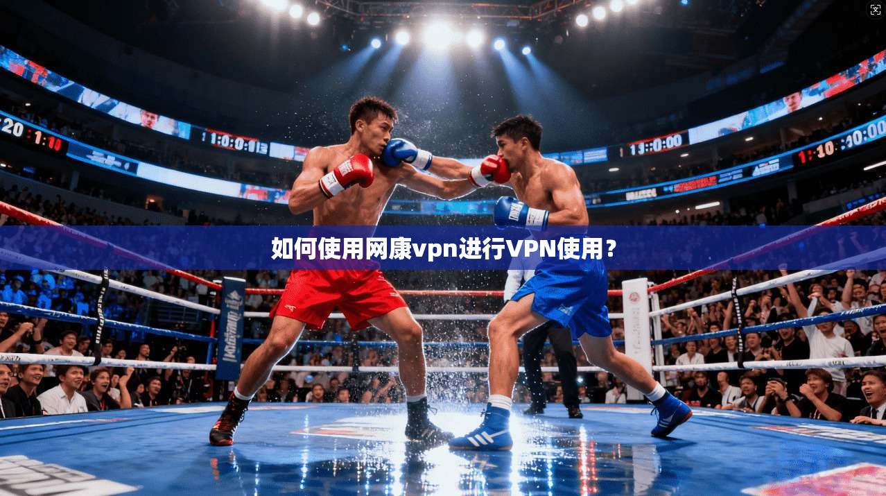 如何使用网康vpn进行VPN使用？