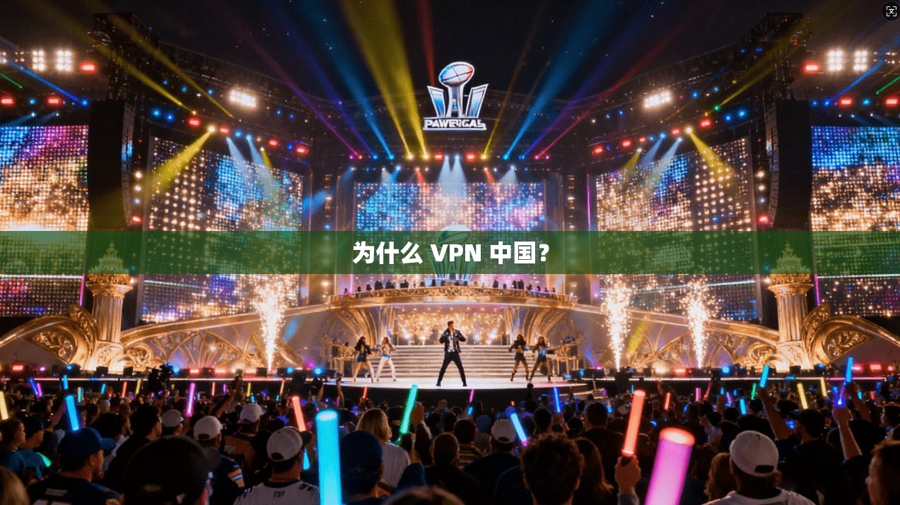 为什么 VPN 中国？