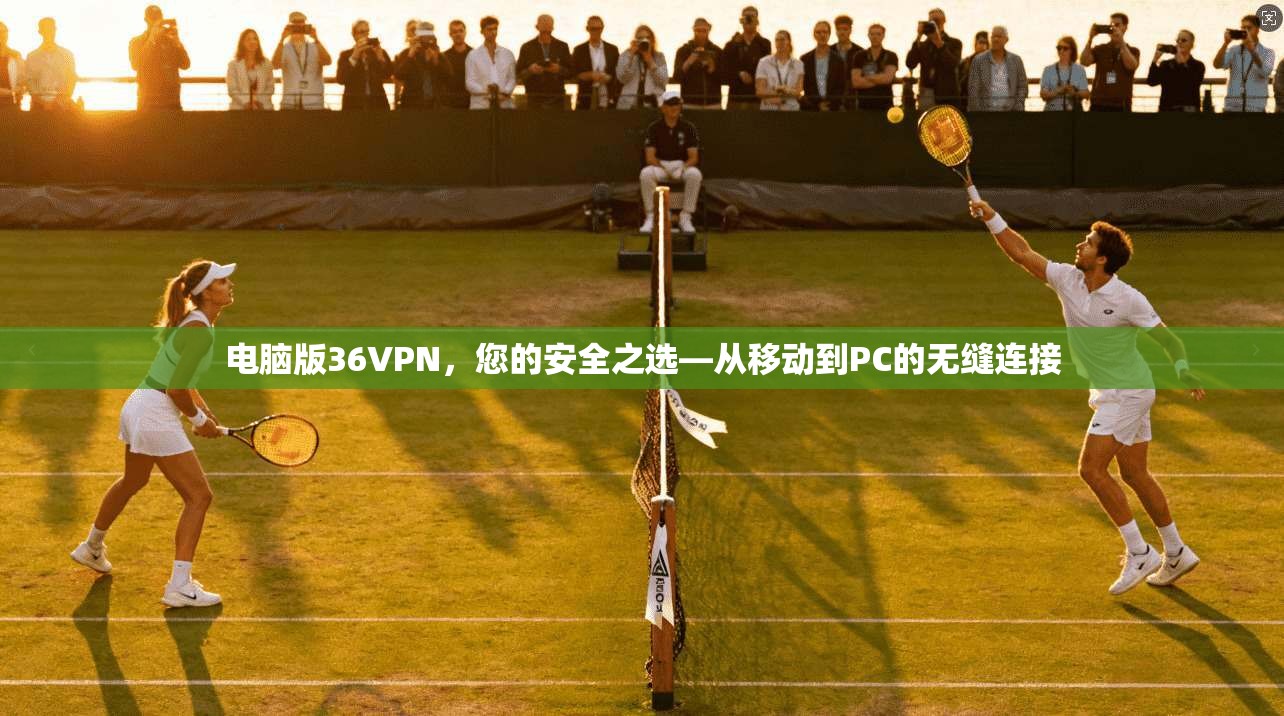 电脑版36VPN，您的安全之选—从移动到PC的无缝连接