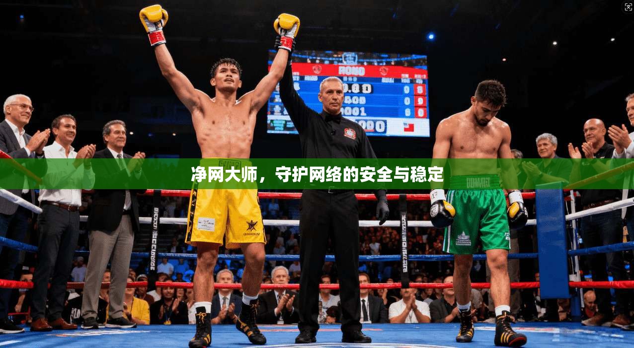 净网大师，守护网络的安全与稳定