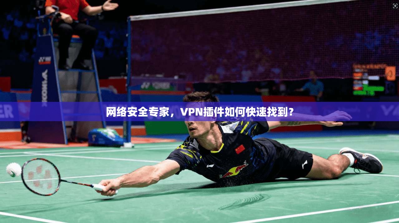 网络安全专家，VPN插件如何快速找到？