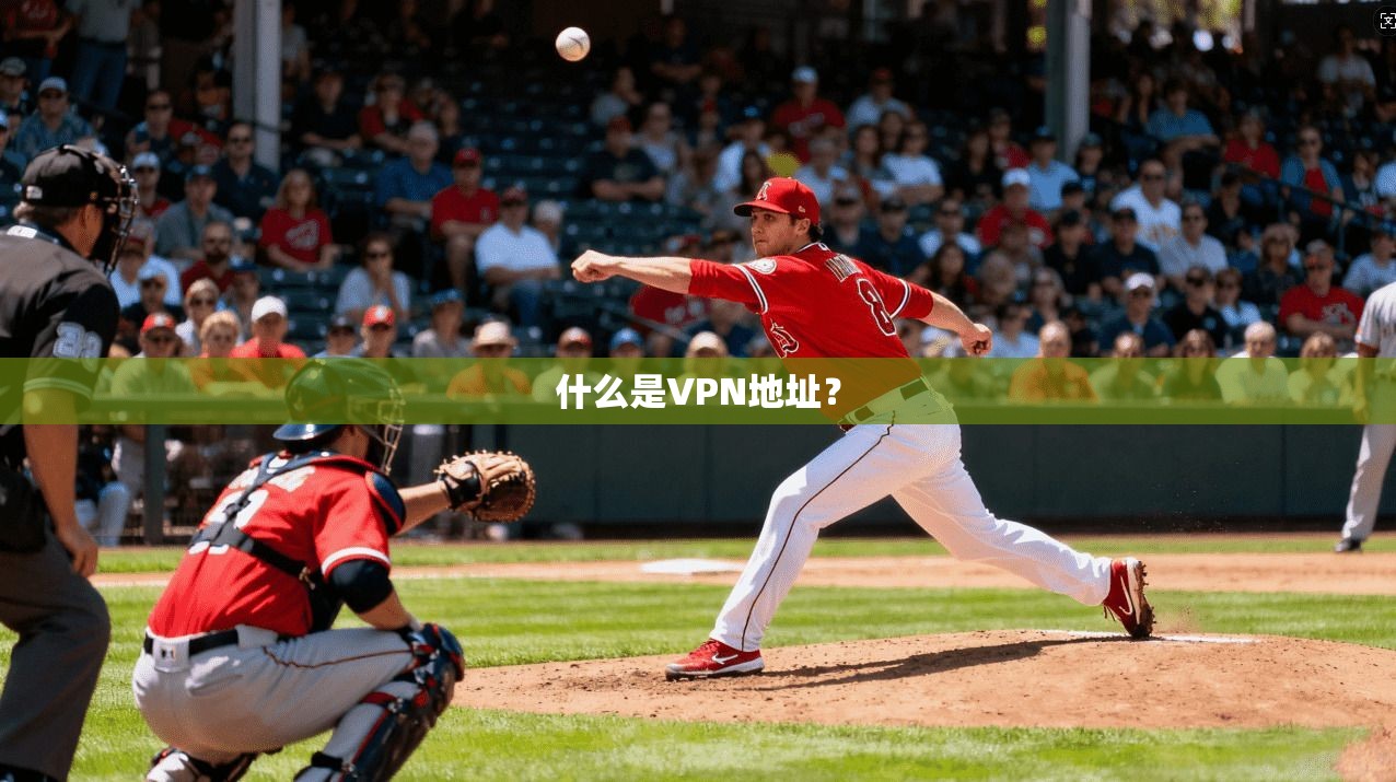 什么是VPN地址？